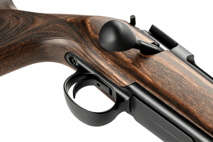 Sauer 100 Classic .308 Win