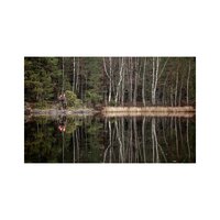 Fj&auml;llr&auml;ven Brenner Pro trouser brown