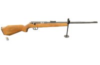 Ansch&uuml;tz .22 lr