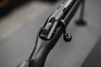 Blaser R8 Professional