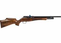 Daystate Huntsman revere .25