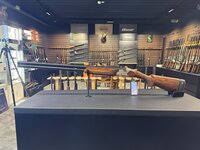 Beretta Perennia .12