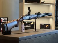 Beretta Perennia .12