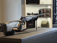 Blaser R8 Camo .30-06 DEMO