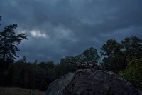 Harkila NOCTYX Camo Hybrid Jacket