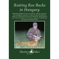Rutting roe bucks in Hungary