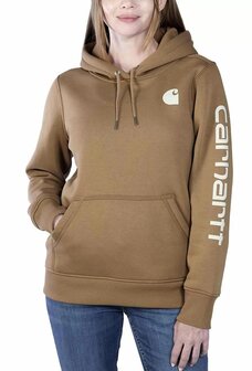Carhartt RELAXED FIT MIDWEIGHT LOGO SLEEVE GRAPHIC SWEATSHIRT