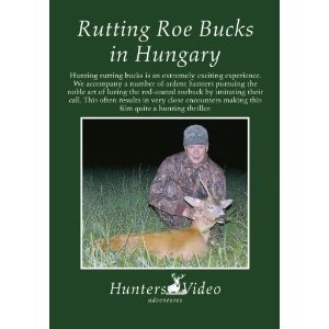 Rutting roe bucks in Hungary