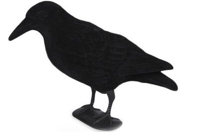 ACTIE! FLOCK kraaien 10 stuks voor &euro;70