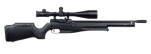 Reximex Daystar zwart 5,5mm 