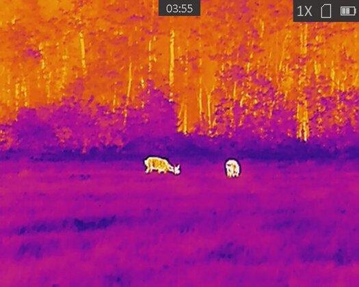 Nachtzicht/Warmtebeeld