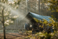 Tors Puur Op Avontuur X De Paander