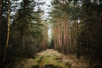 Van winkel naar wandelpad!